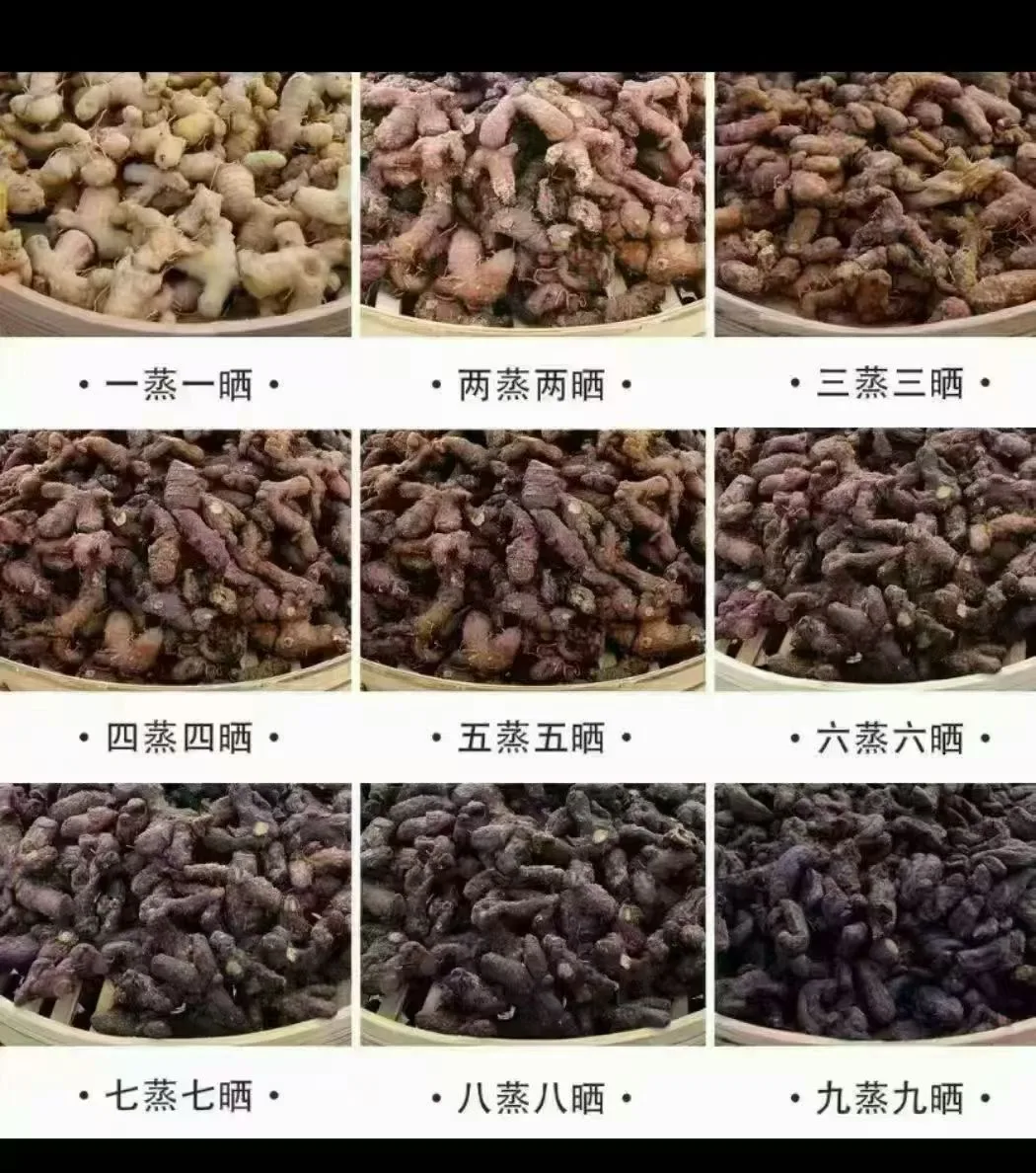Neuf photographies comparent les rhizomes de huangjing qui foncent au fil des cuissons à la vapeur et des séchages au soleil.