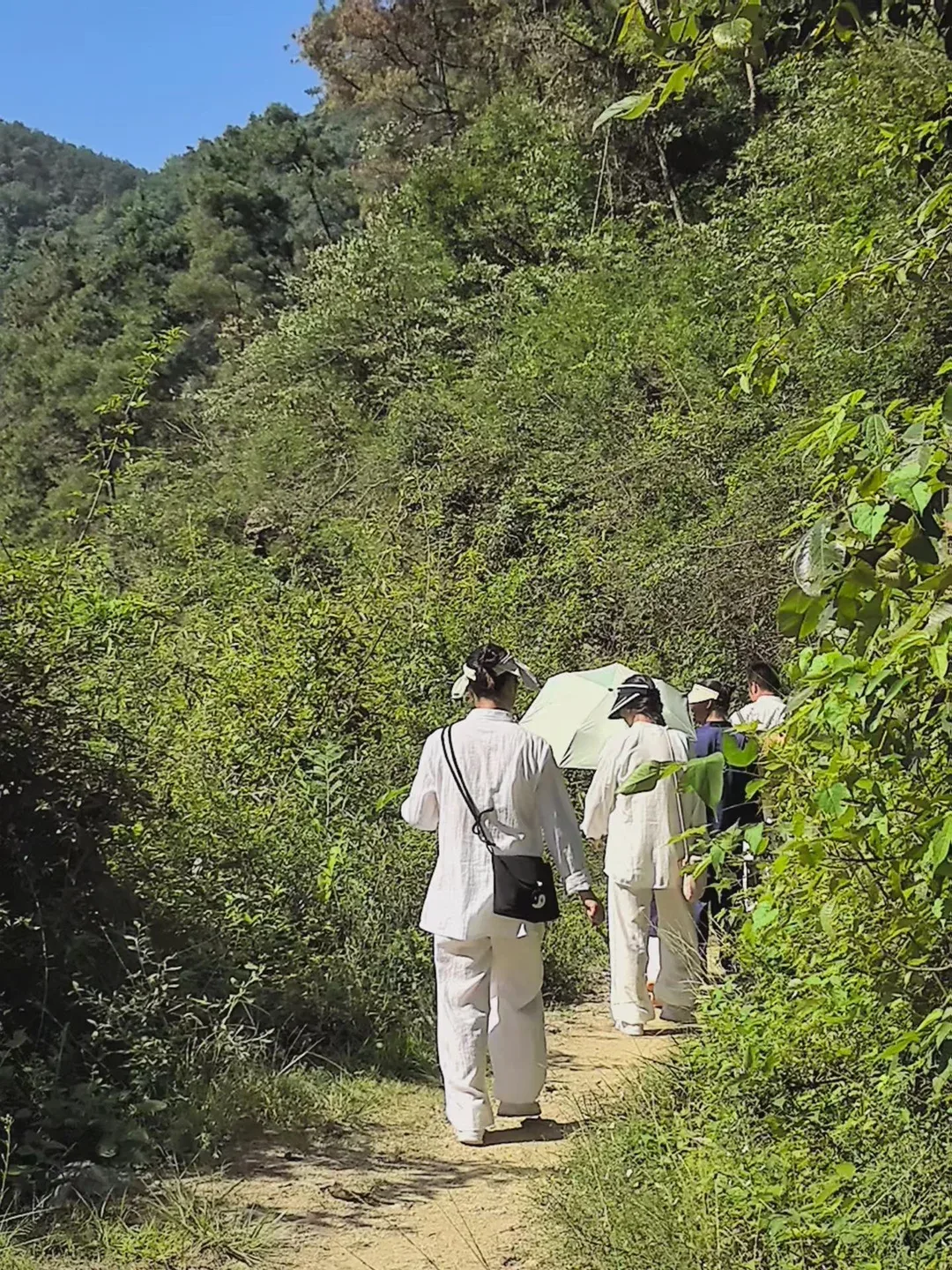 Des marcheurs en blanc suivent un sentier de terre sur une pente verte ; l’un porte un sac noir, un autre un parapluie vert clair.