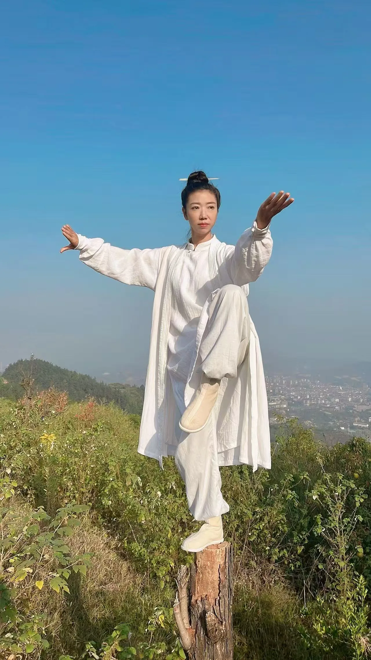 Junior Sister Mingyi balances in a crane stance atop a tree stump on a hillside, a city visible in the distance.