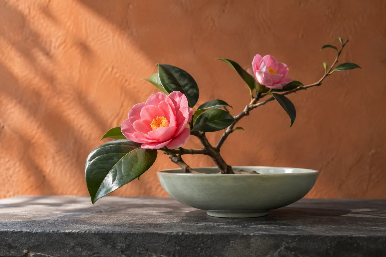 Illustration IA : fleurs roses et feuilles vertes sur plusieurs plans dans une coupe vert pâle devant un mur terre cuite
