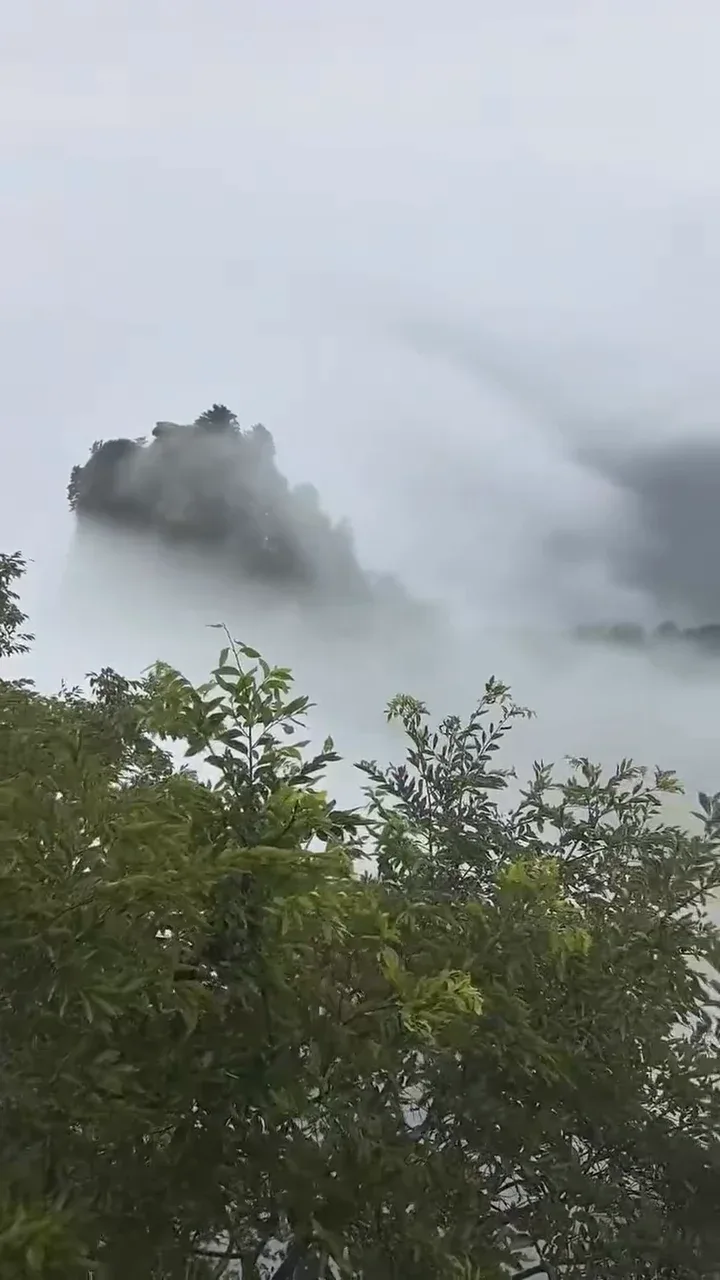Une crête sombre émerge d’une mer de nuages blancs au-dessus des arbres de Wudang.