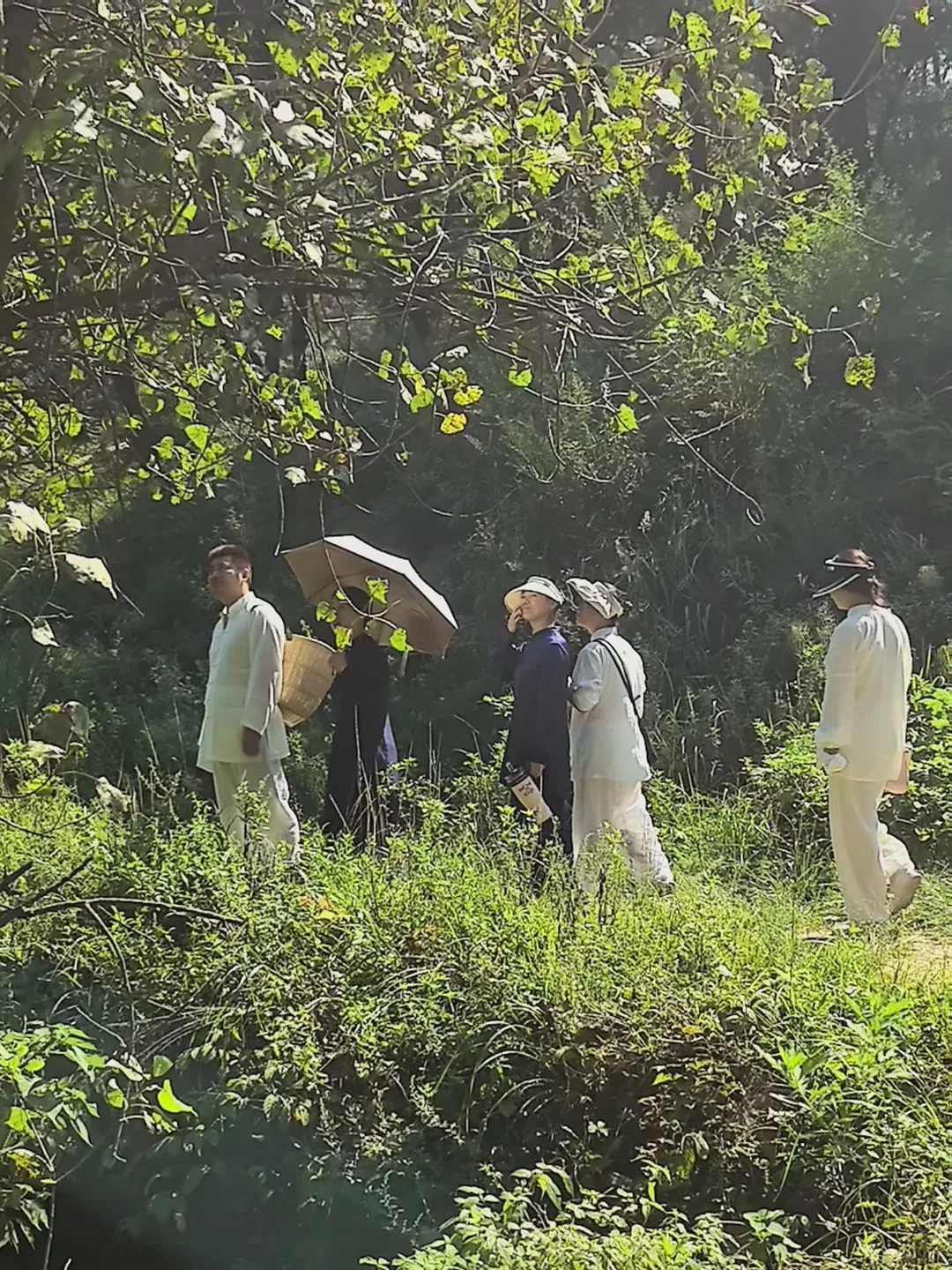Cinq marcheurs passent dans les hautes herbes sous un arbre ; l’un porte un parapluie et un panier de bambou, un autre regarde les branches.