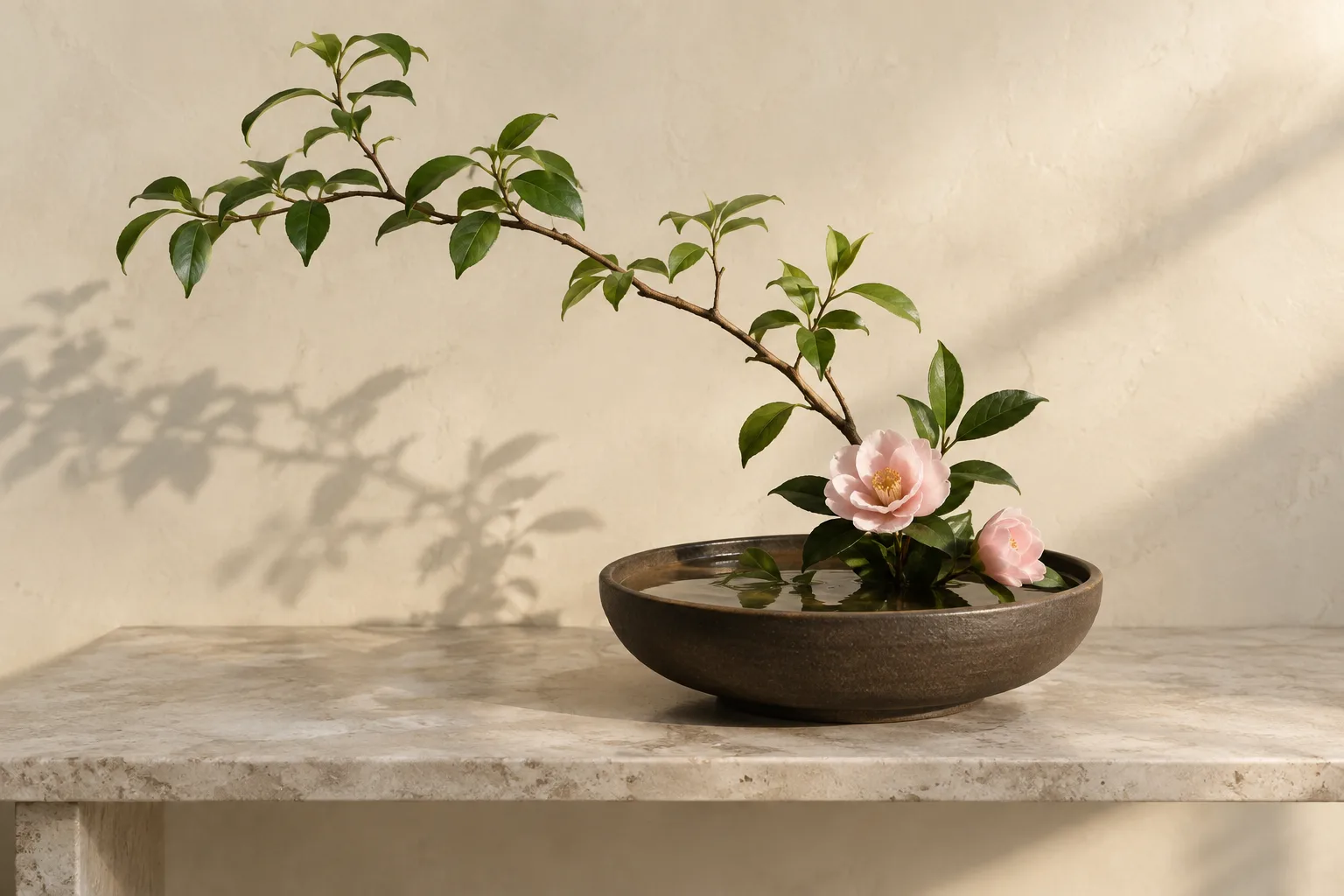Une branche feuillue arquée et deux fleurs rose pâle dans une coupe en grès, avec leur ombre sur un mur ivoire