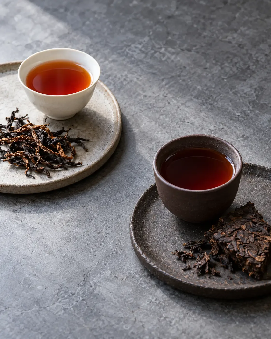 Comparaison conceptuelle entre une infusion ambrée avec des feuilles torsadées et une infusion sombre avec un fragment de thé compressé