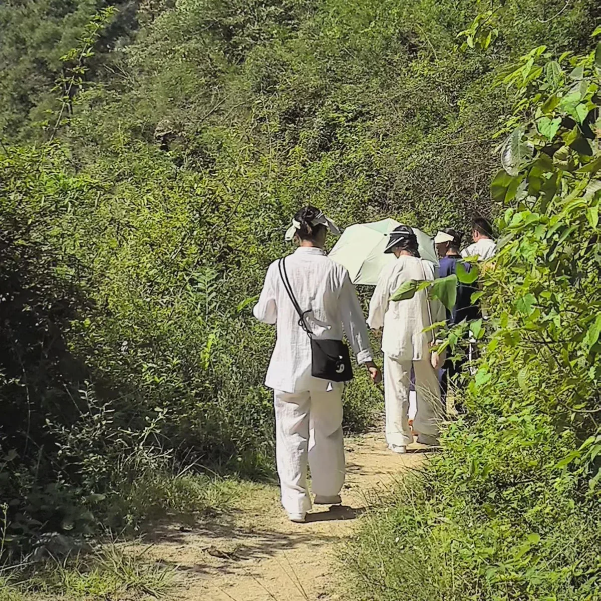 Des marcheurs en blanc suivent un sentier étroit sur une pente verdoyante de Wudang.