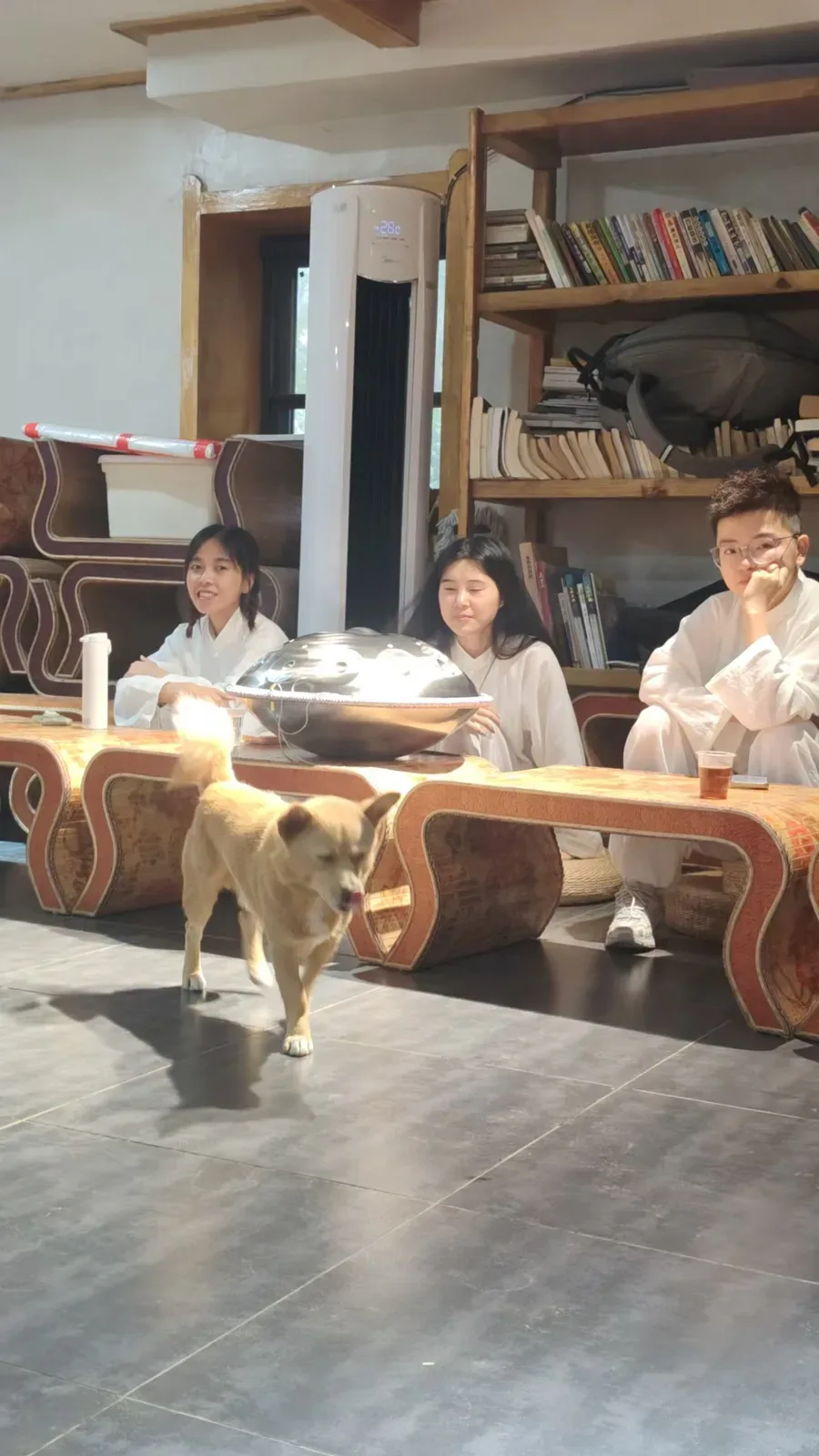 Le chien blond passe près des tables basses où trois élèves en blanc sont assis à côté d’un handpan argenté.